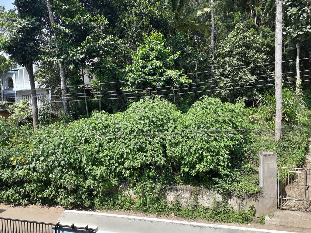 Able Homestay Thekkady Exterior photo